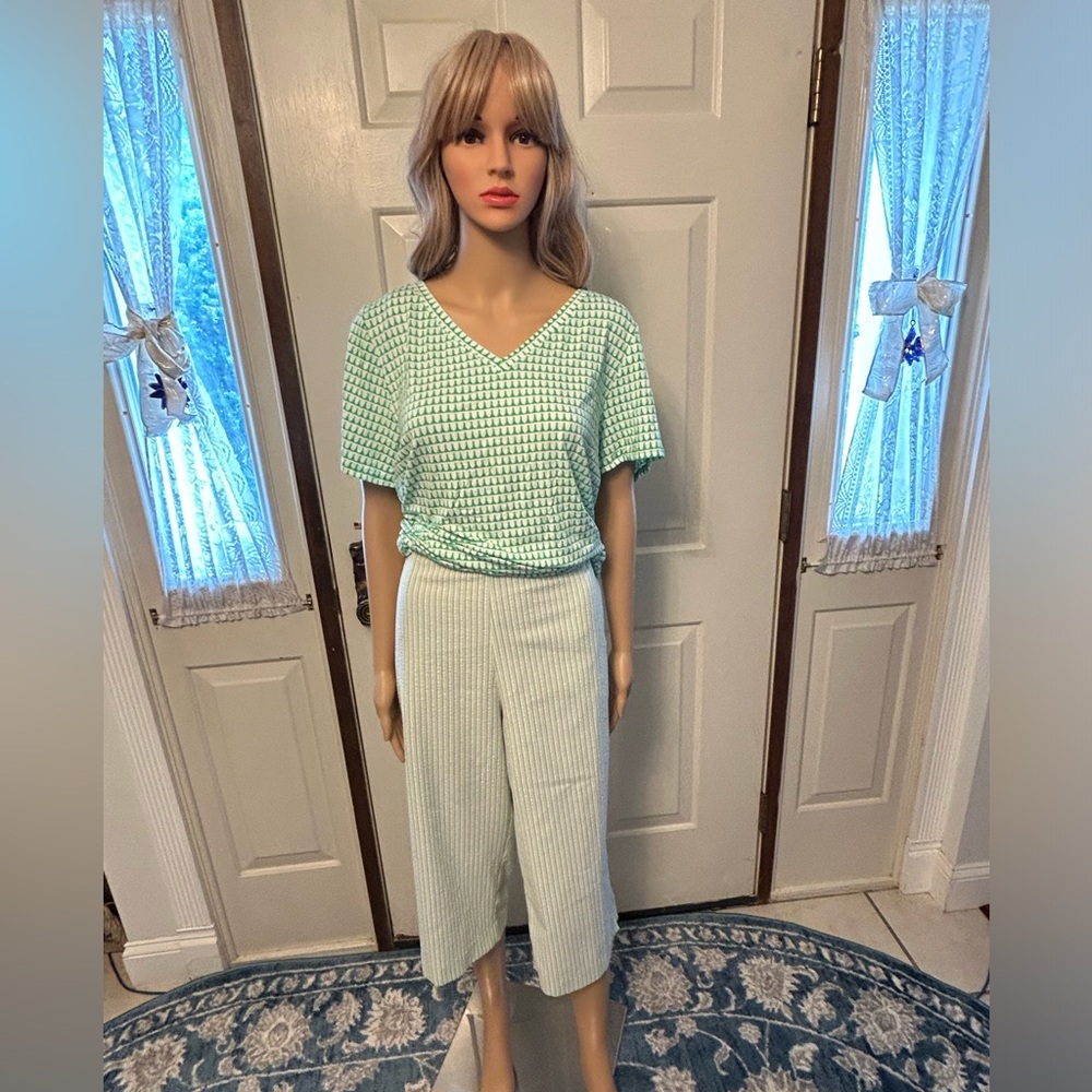 Alfred Dunner 16p capri gingham pants paired w/LuLaRoe green XL green prnt top.